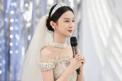 《你比星光美丽》魏秋子和邵一辰在第几集结婚