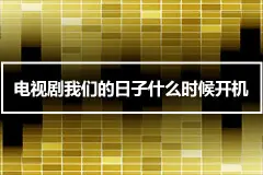 电视剧我们的日子什么时候开机