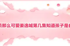 程序员那么可爱姜逸城第几集知道陆漓怀的孩子是他的