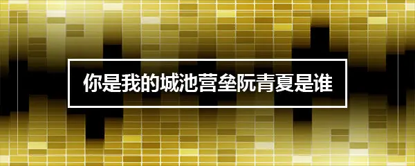 你是我的城池营垒阮青夏是谁