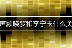 风声顾晓梦和李宁玉什么关系