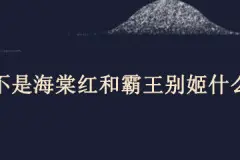 鬓边不是海棠红和霸王别姬什么关系